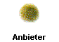  Anbieter 