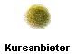  Kursanbieter 