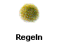  Regeln 