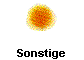  Sonstige 