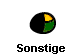  Sonstige 
