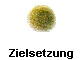  Zielsetzung 